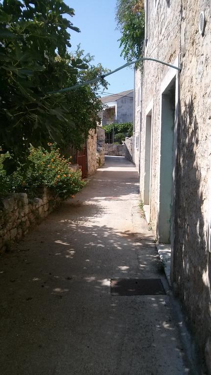 House Popovic Sucuraj